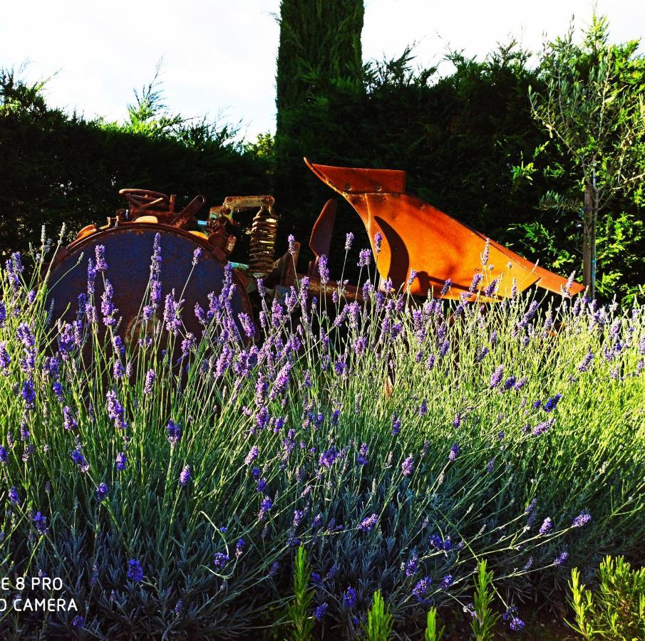 Rocca Degli Olivi Bed & Breakfast San Gimignano Exterior foto