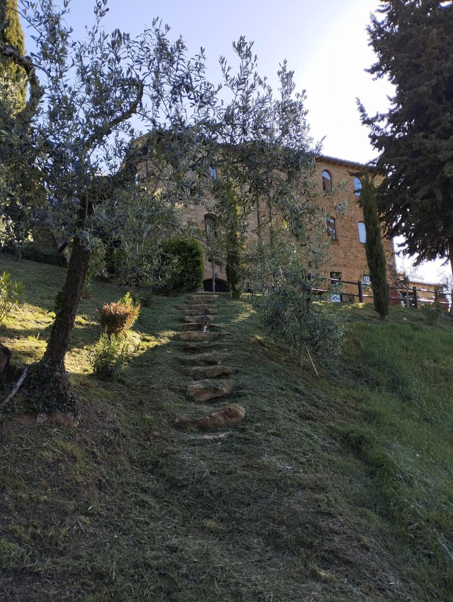 Rocca Degli Olivi Bed & Breakfast San Gimignano Exterior foto