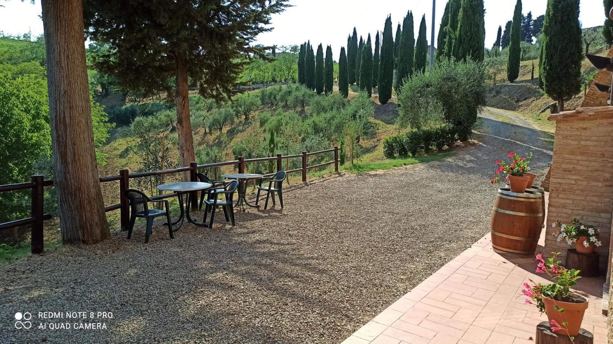 Rocca Degli Olivi Bed & Breakfast San Gimignano Cameră foto