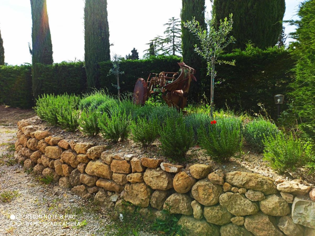 Rocca Degli Olivi Bed & Breakfast San Gimignano Exterior foto