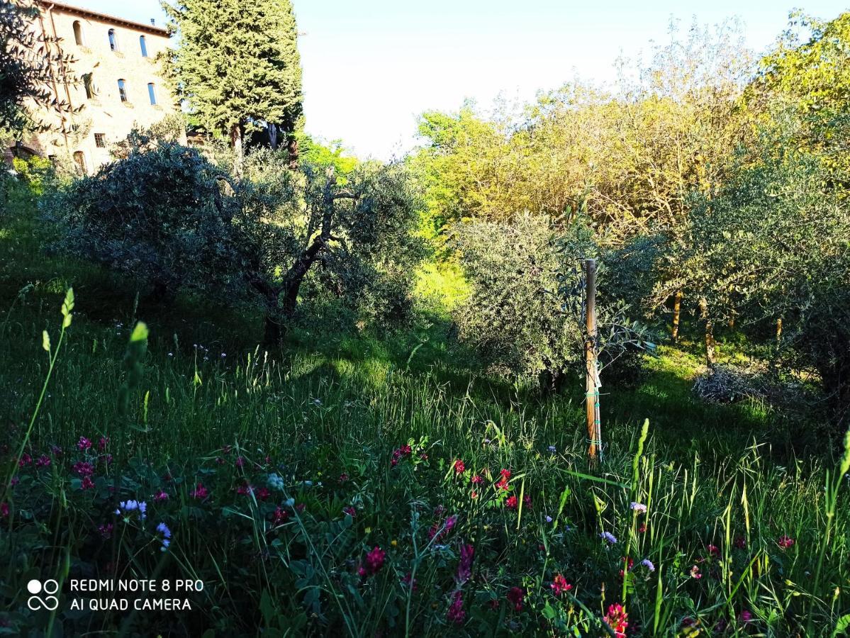 Rocca Degli Olivi Bed & Breakfast San Gimignano Exterior foto