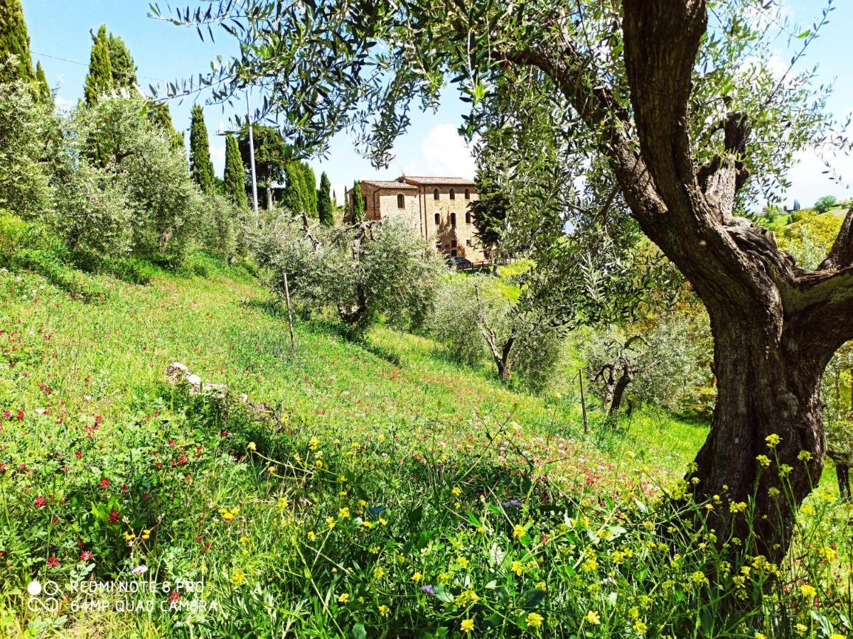 Rocca Degli Olivi Bed & Breakfast San Gimignano Exterior foto